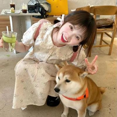 达妮卡
